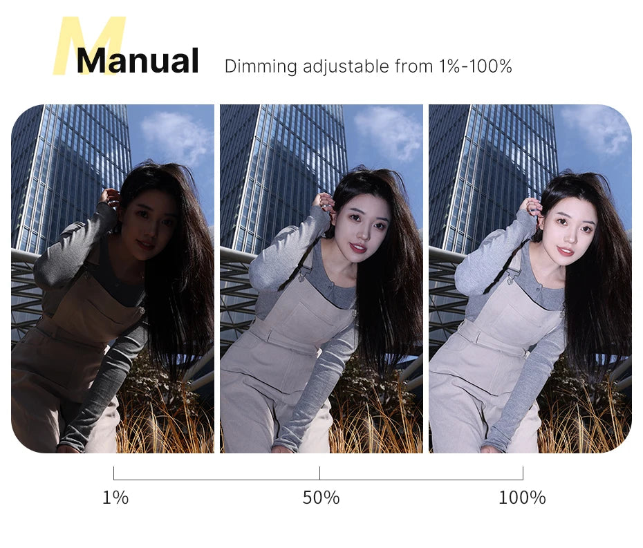 Mini Camera Flash Speedlite GN12 LCD Standard Hot Shoe Mount for Sony Canon Nikon Panasonic Olympus DSLR Camera