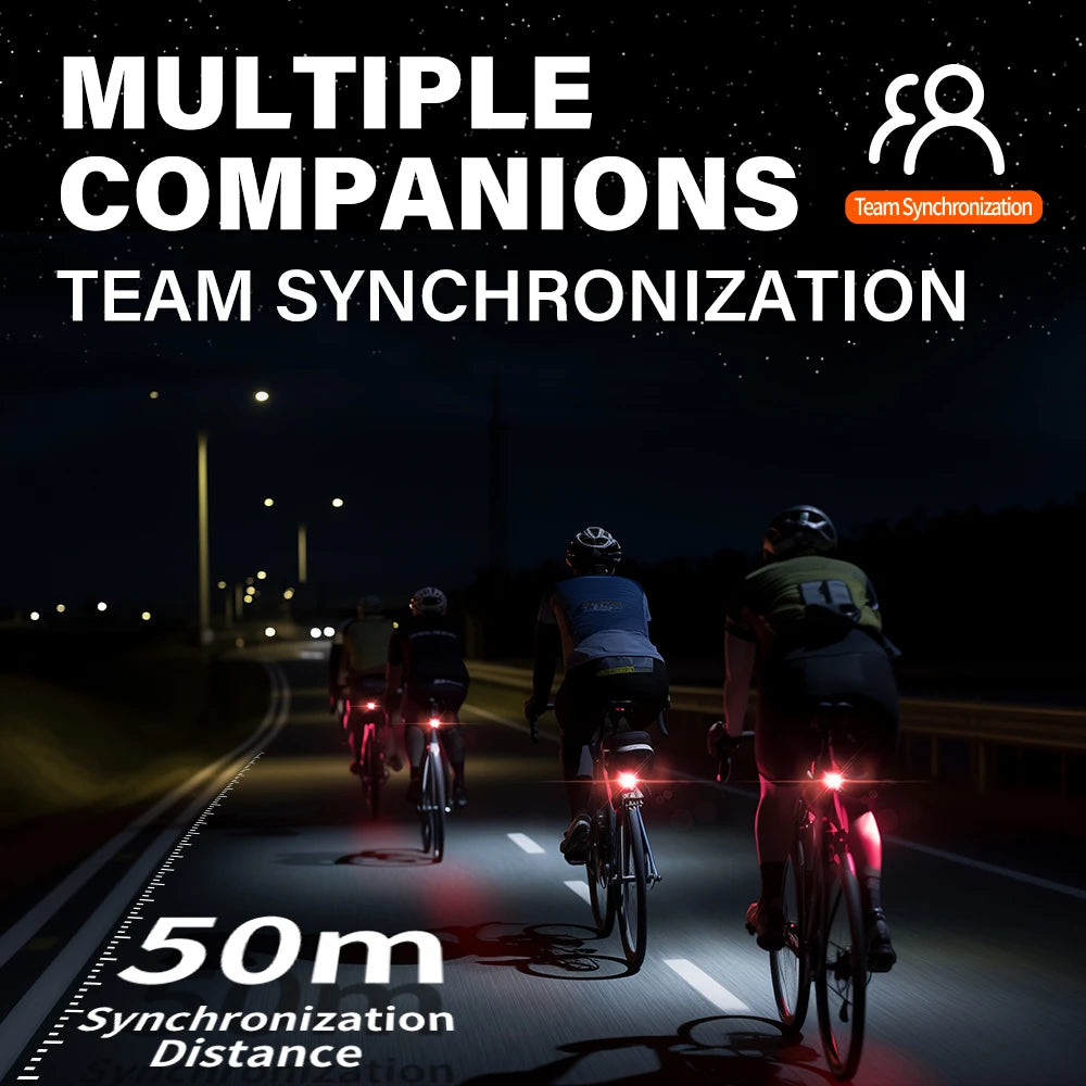 Team Sync Tail Light 50m Auto Brake Sensing Bicycle Rear Light LED Rechargeable IPX6 Waterproof Cycling Taillight