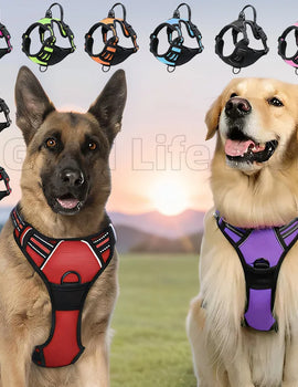 Reflective Dog Harness Breathable Dog Accessories Vest with Handle For Small Large Dogs Outdoor Walking Training Pet Supplies