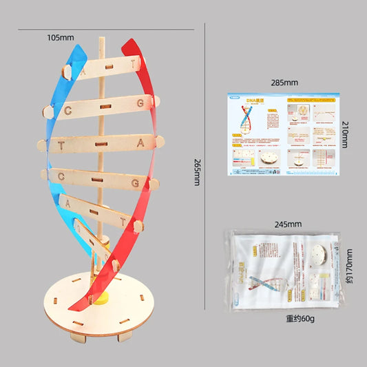 3D Wooden Puzzle DIY Physical Model Science Experiment Educational Toy Password Box Grain Fan Assembly Model DIY Decoration Gift