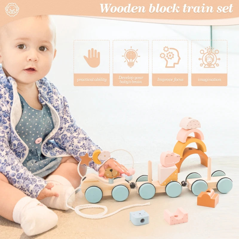 Baby Montessori Toys Wooden Train Baby Educational Toys Wooden Rainbow Blocks Trolley Baby Learning Toys Children Birthday Gifts