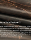 for Magsafe Case for iPhone 15 16 Pro Max 16Pro Retro Luxury Full Grain Cowhide Genuine Oiled PULL-UP Leather Magnetic Cover