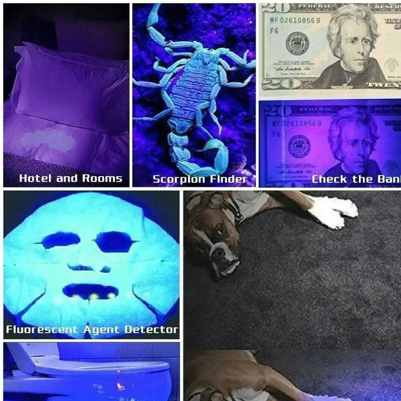 100 LED 395nm UV Blacklight Flashlight For Detection