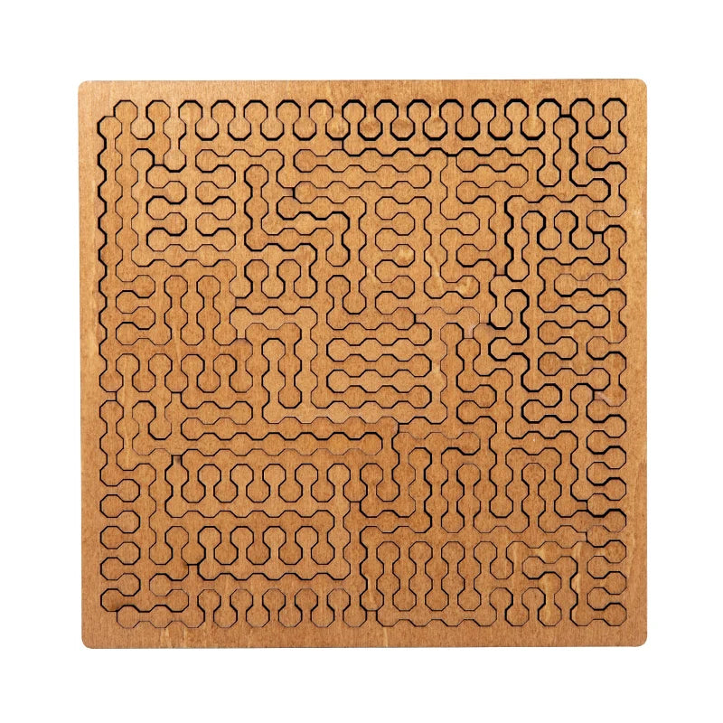 Wooden Brain Teaser Puzzle Game