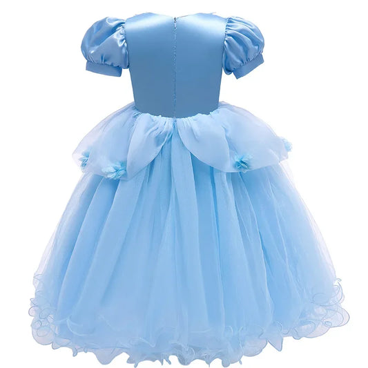 Blue Flower Princess Ball Gown Dress