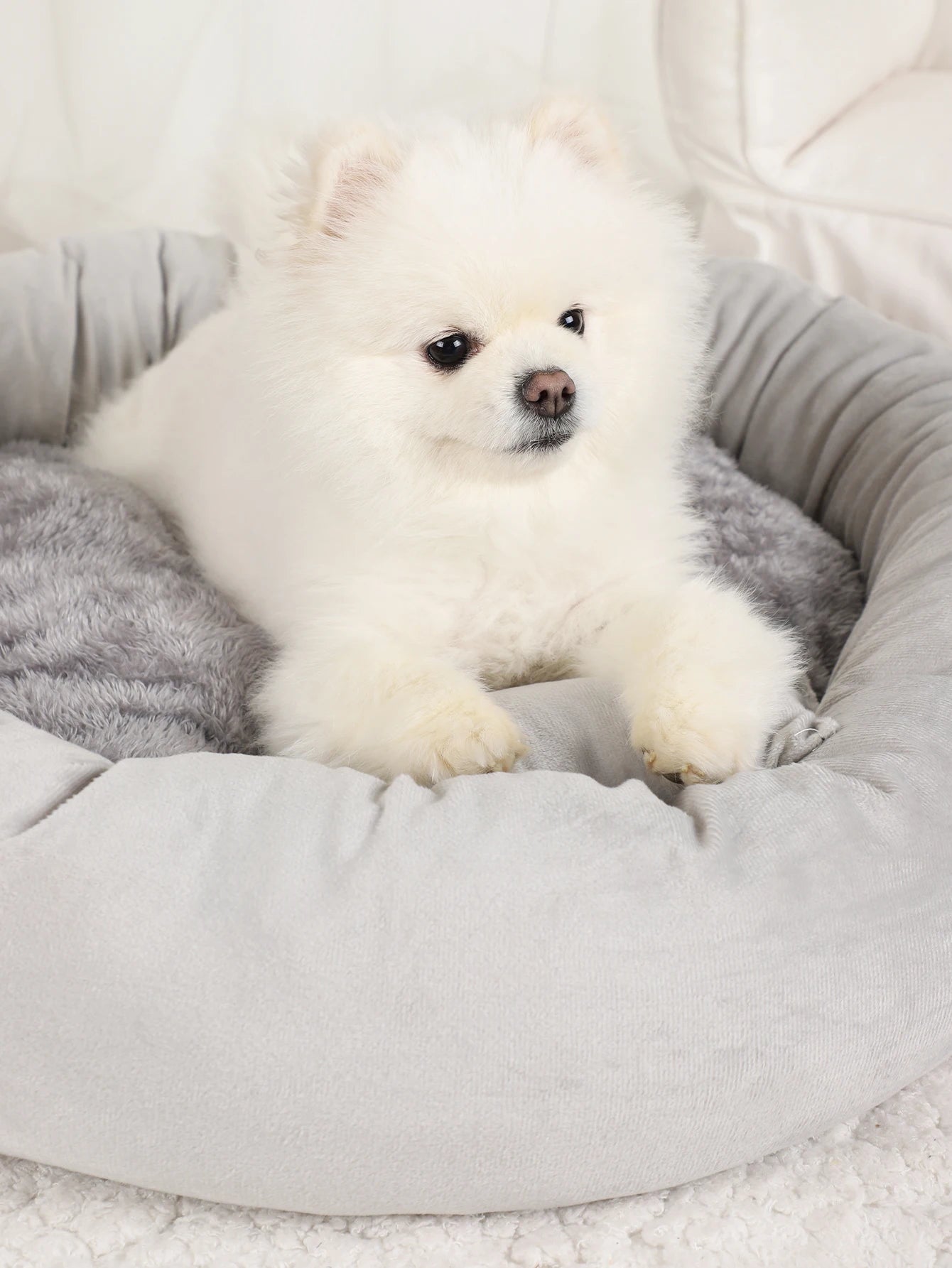 Washable Plush Pet Bed Sofa Gray for Dogs and Cats
