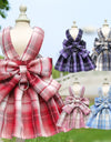 Dog Dress Harnesses with Leash Set Plaid Puppy Girl Skirt Doggy Dresses with Leash Ring Doggie Clothes for Small Medium Dogs