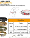 Dog Collar Durable Tactical Leash Set Adjustable Military Pet Collar Leash Medium Large Dog German Shepherd Training Accessories