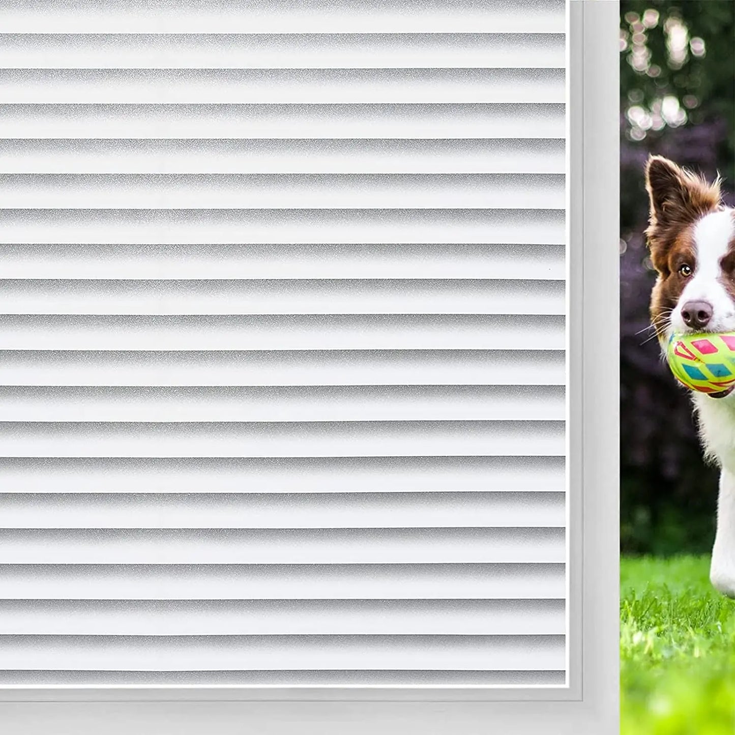 Frosted Privacy Striped Window Film Office Decorative Self Adhesive Glass Window Decals Width 65/75/85/90 by 200 cm