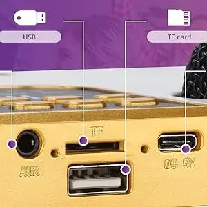 High Power Karaoke Bluetooth Speaker with Dual Microphone Boombox Portable 360 Stereo Surround Waterproof Wireless Subwoofer