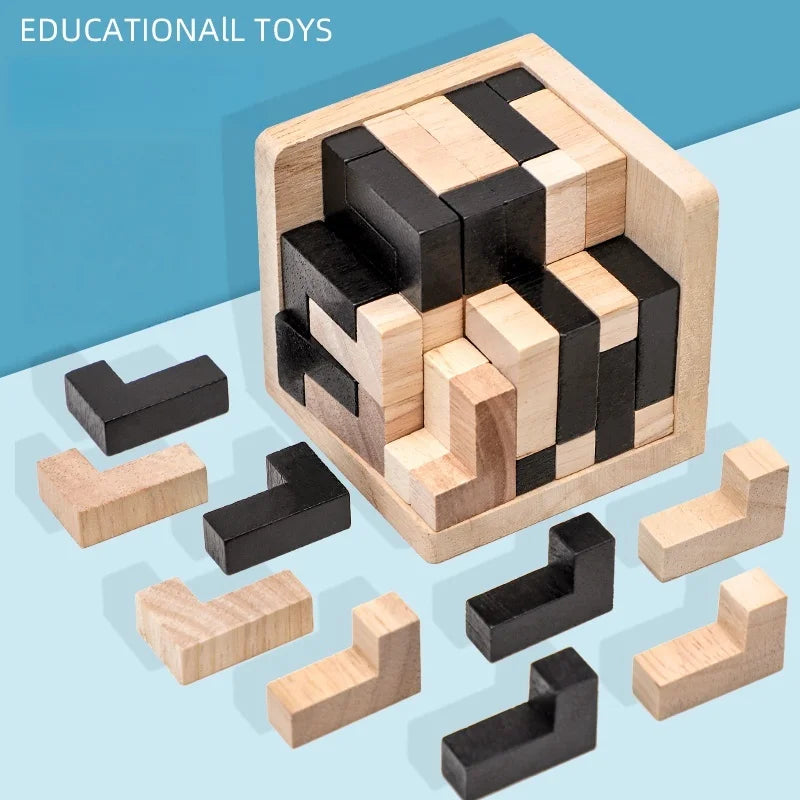 Wooden Brain Teaser Puzzle Game