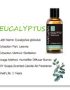 Essential Oils For Humidifier Diffuser Lavender Jasmine Eucalyptus Ylang Ylang Vanilla Tea Tree Aroma Oil