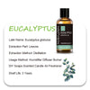 Eucalyptus Oil