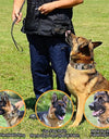Dog Collar Durable Tactical Leash Set Adjustable Military Pet Collar Leash Medium Large Dog German Shepherd Training Accessories