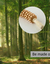 2Pcs Wood Therapy Massage Roller Tool,maderoterapia Colombiana,Lymphatic Drainage,Maderotherapy,Handheld Cellulite Trigger Point
