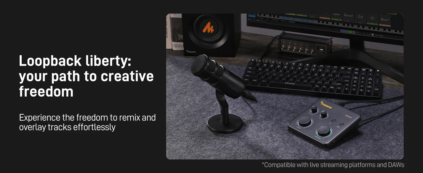 USB Audio Interface for PC,XLR Input 24-bit/192kHz Routing Software LOOPBACK ASIO for Recording Music,Guitar,DAW PS22 Lite