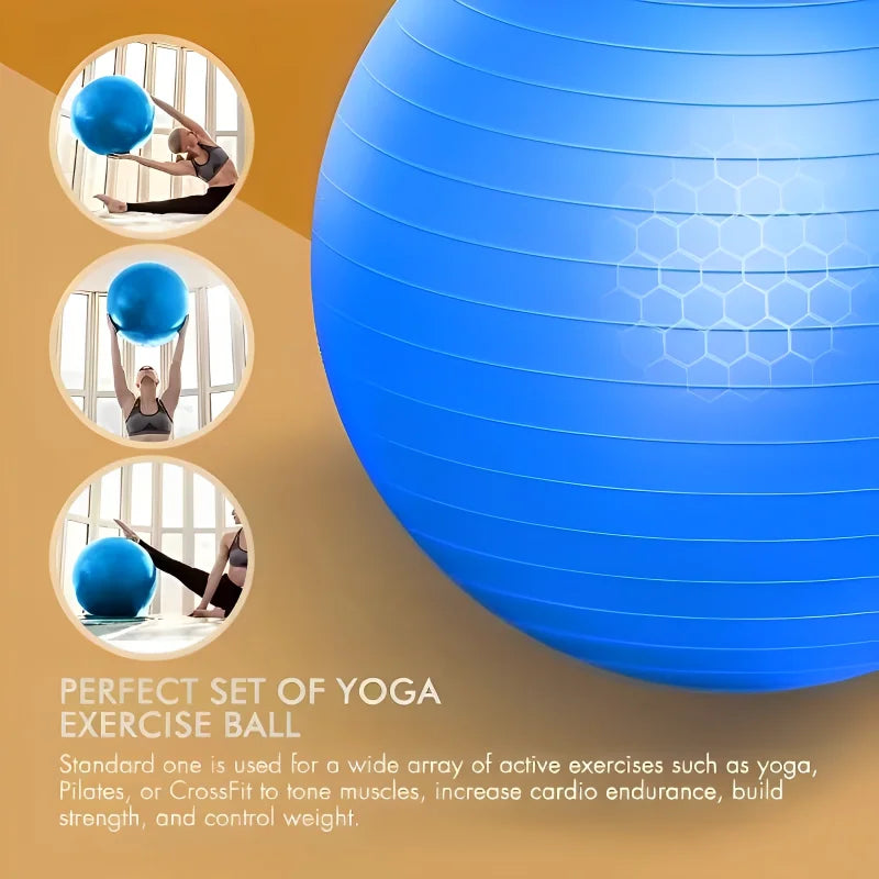 45CM-95CM Yoga Pilates Soft Big Ball Gym For Fitness Workout Exercise Balls Thickened Explosion-Proof Home Pvc Equipment