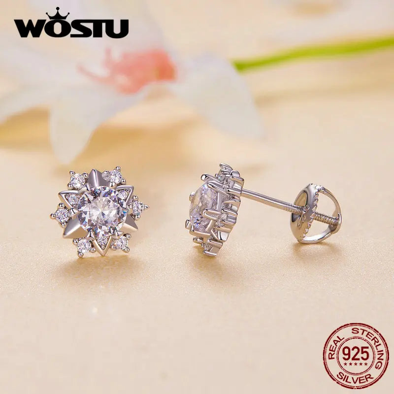 1.0 Ct Diamond Moissanite Wedding Stud Earrings For Women 925 Silver Sterling Snowflake Earring