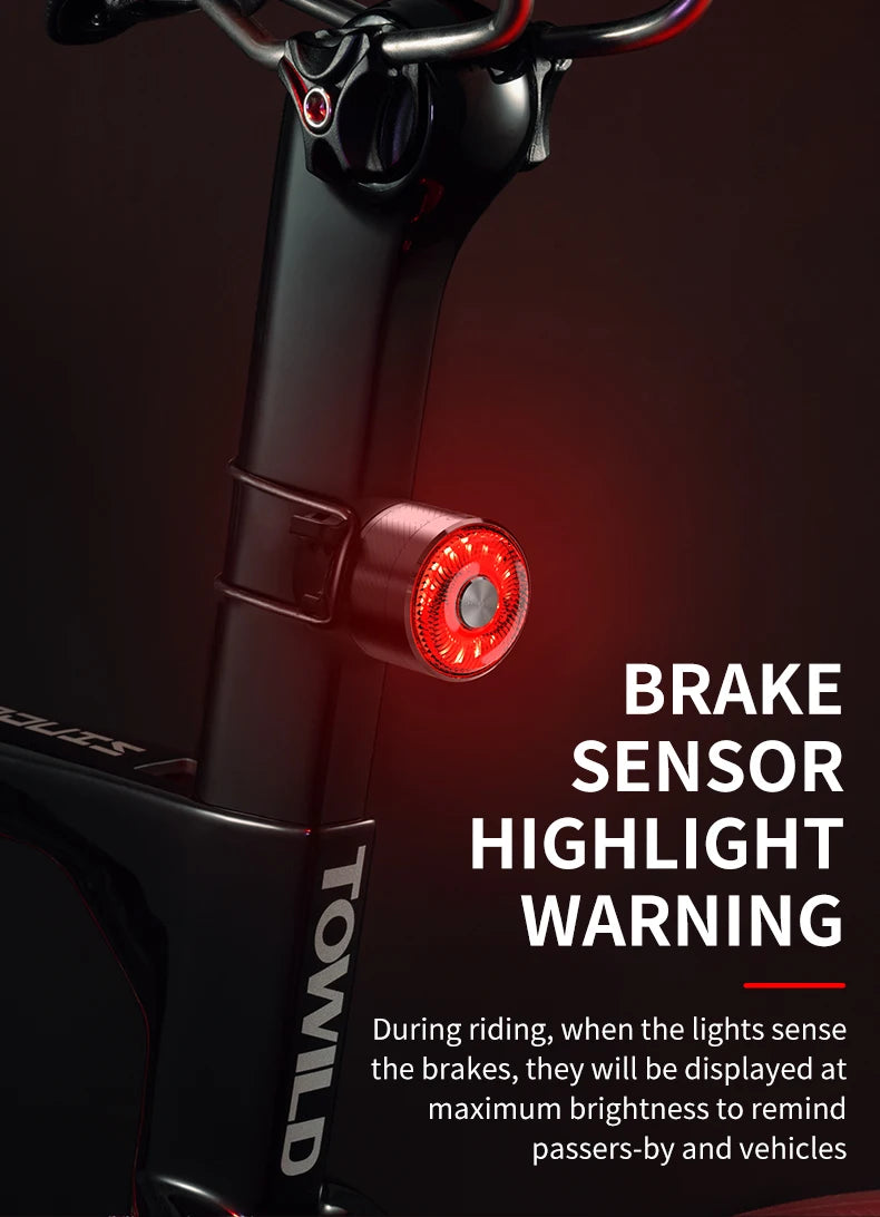 Rear Light Bicycle Smart Auto Brake Sensing Light IPX6 Waterproof USB Charging LED Cycling Light Warning Taillight