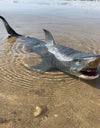 1pc Large Mosasaurus Megalodon Shark Dinosaur Figures Realistic Model Marine Animal Life Toy for Collection Party Favor Kid Gift