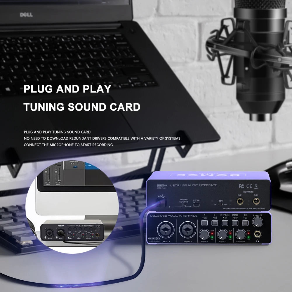 U202P USB Audio Interface with 32 Bit 192kHz Recording and 48V Phantom Power