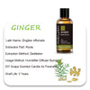 Ginger Oil
