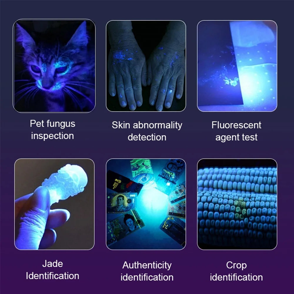 40W 365nm UV Rechargeable Blacklight Flashlight