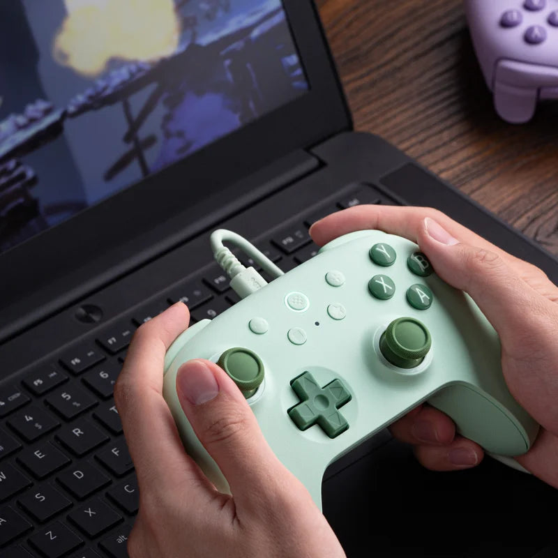 Wired Gaming Controller with Hall Effect Joysticks and Triggers for PC and Android