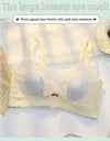 Women’s Lace Transparent Rabbit Ears Bra & Panties Set – Soft, Thin Push-Up Lingerie