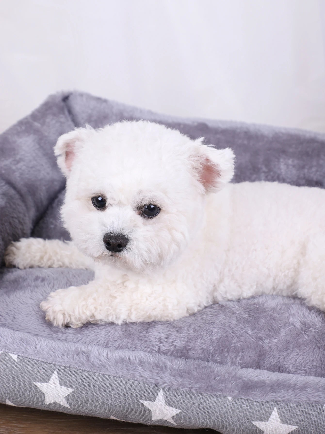 Washable Plush Pet Mat Bed Cushion for Dogs and Cats