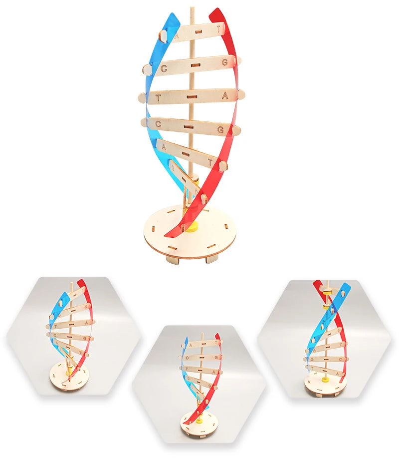 3D Wooden Puzzle DIY Physical Model Science Experiment Educational Toy Password Box Grain Fan Assembly Model DIY Decoration Gift