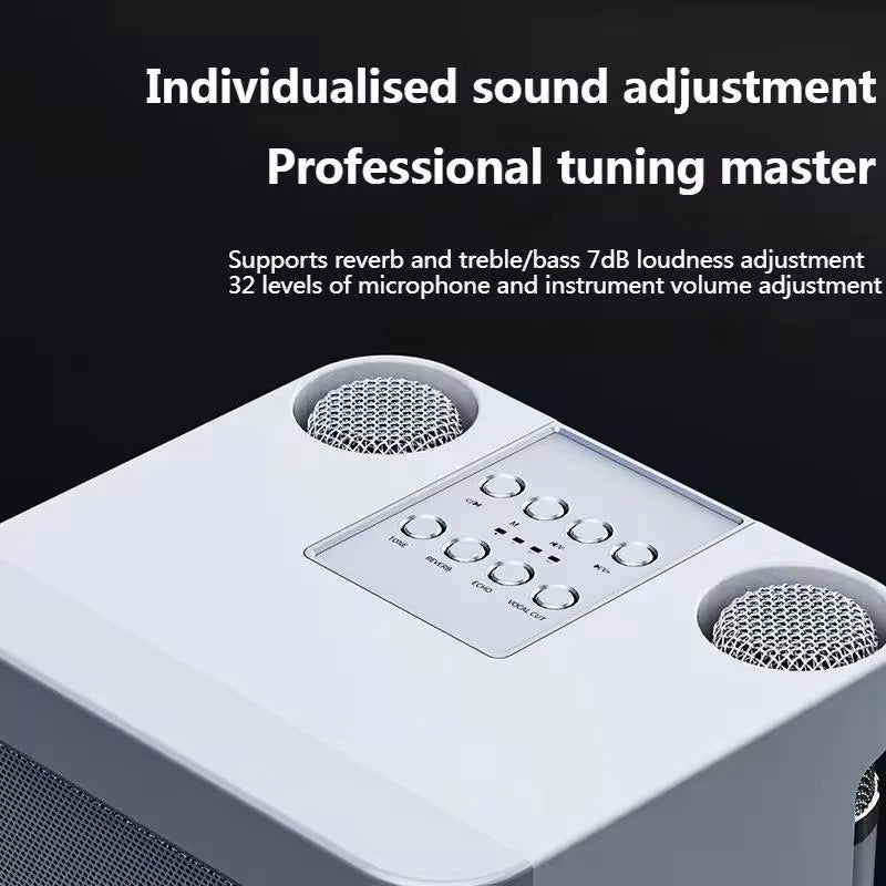 Portable Dual Microphone Karaoke Machine for Adults  Speaker Home KTV System HIFI Stereo Bluetooth Mic