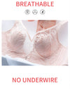 Women’s Lace Transparent Rabbit Ears Bra – Soft, Wire-Free Push-Up with Adjustable Straps