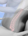 Memory Foam Lumbar Back Cushion Car Office Chair Lumbar Cushion Postpartum Waist Support Multi Functional Pain Relief Pillow