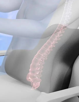 Memory Foam Lumbar Back Cushion Car Office Chair Lumbar Cushion Postpartum Waist Support Multi Functional Pain Relief Pillow