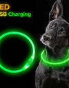 Led Dog Collar Luminous Usb Cat Dog Collar 3 Modes Led Light Glowing Loss Prevention LED Collar For Dogs Pet Dog Accessories