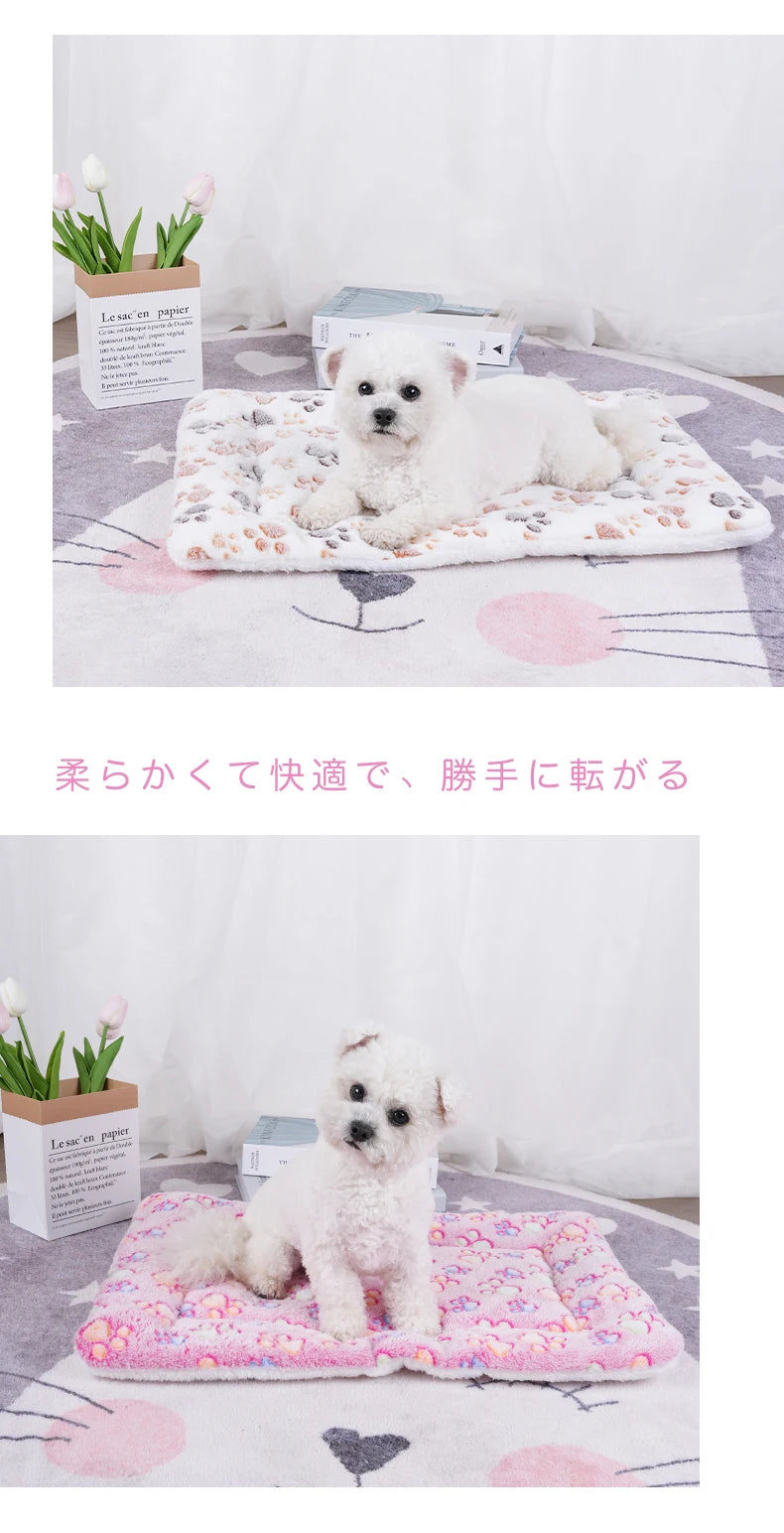 Washable Coral Fleece Pet Blanket Cushion Mat for Dogs and Cats