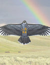 1.1m Eagle Kite New Gift Flat Flying Toys 30 Meter Kite Line Multi Style Flying Kites Outdoor