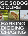Ultrasonic Pet Dog Repeller Anti Barking Stop Bark Training Device High Power Dog Training Repellents With USB Rechargeable
