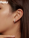 2.0 CT D Color VVS1 EX Moissanite 925 Sterling Silver Hoop Earrings 3.5mm Round Diamond Cut Platinum Plated Earrings