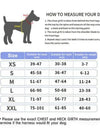 Personalized Dog Harness Reflective Adjustable Dog Harness Tank Top Dog Training Supplies