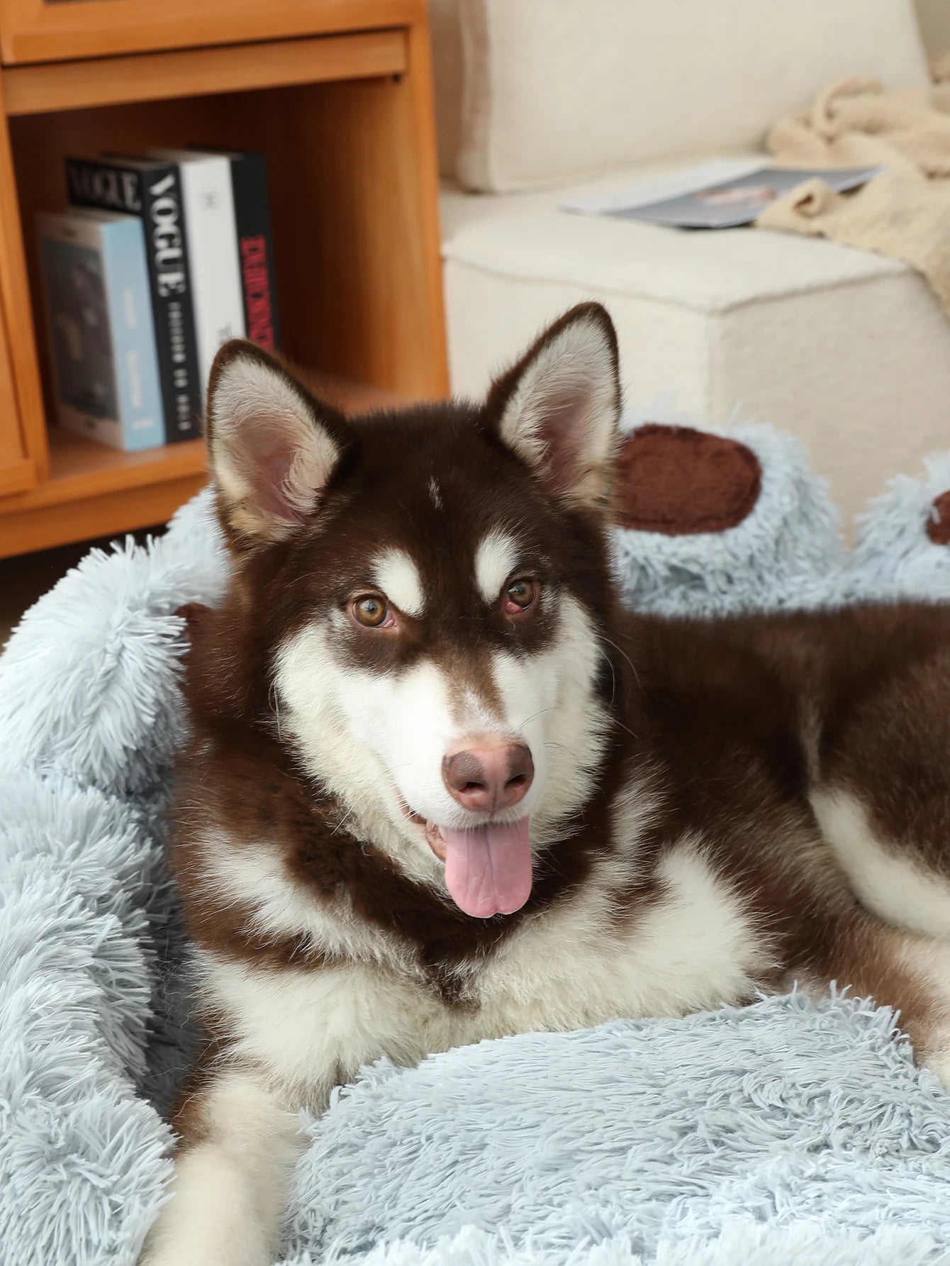 Plush Pet Bed Sofa Cushion for Dogs and Cats