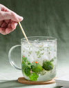 500ml Creative Glass Scale Handgrip Mug Breakfast Milk Coffee Couple Mug Home Tumbler Water Drinkware Fruit Juice Cups