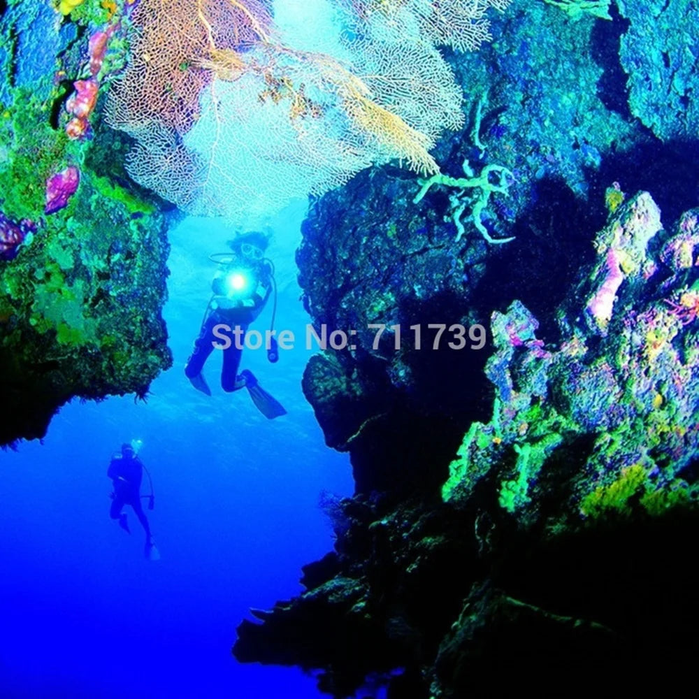 12W Diving Flashlight Rechargeable Underwater LED Torch