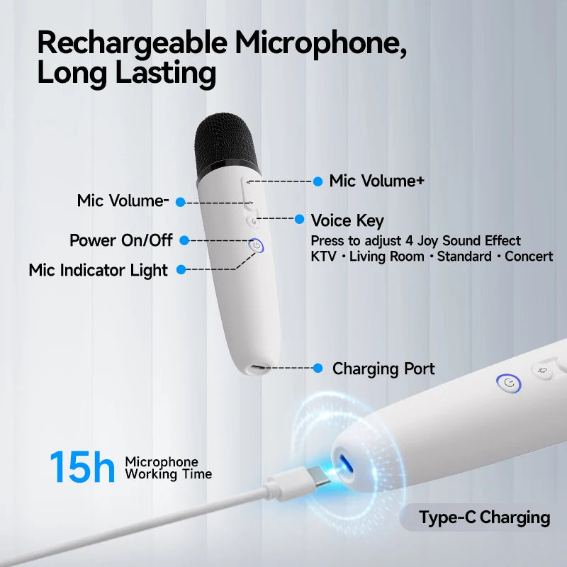 Q1-Tesla Car Karaoke Microphone for Tesla Model Y/3/X/Cybertruck, Rechargeable Caraoke Mic with USB-A & USB-C Receiver