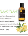 Essential Oils For Humidifier Diffuser Lavender Jasmine Eucalyptus Ylang Ylang Vanilla Tea Tree Aroma Oil