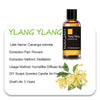 Ylang Ylang Oil