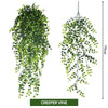 FL0035-creeper