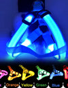Adjustable LED Dog Harness No Pull Small Medium Glowing Nylon Breast-Band Night Safety
