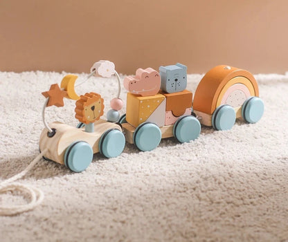 Baby Montessori Toys Wooden Train Baby Educational Toys Wooden Rainbow Blocks Trolley Baby Learning Toys Children Birthday Gifts